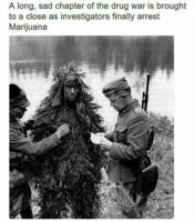 /arrest_the_marijuana.jpg