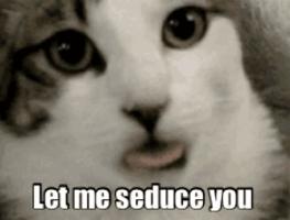 /cats/seduce.you